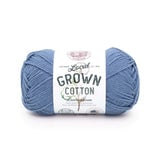 Local Grown Cotton Yarn thumbnail