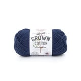 Local Grown Cotton Yarn thumbnail