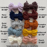 Crochet Temperature Blanket 2025 thumbnail